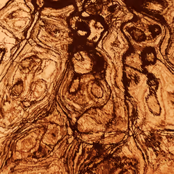 115338729222800520070386886369929169666551686229421791026138919751243001757697