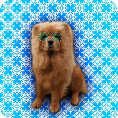 Item #18069411133127541891764540209837632150727605560921678338142275902807092494337 Media