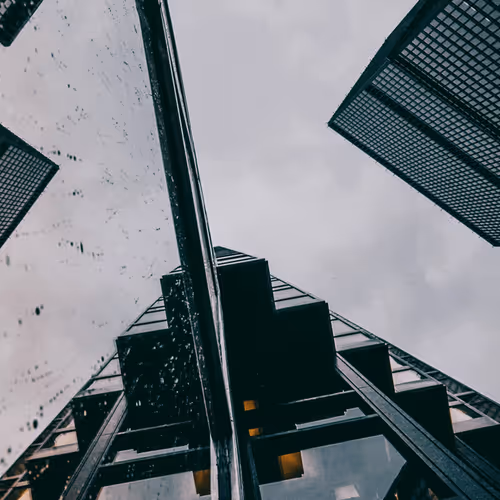 Untitled Collection #81453387