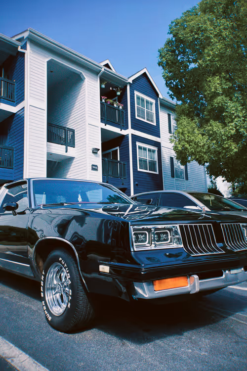 Item #89803227420448474920919563435453653317211720112663713783685262539423362318436 Media