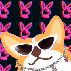 Play Corgi