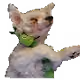 76030386669798532135561245319505194363204470802492968745123034306732219170817