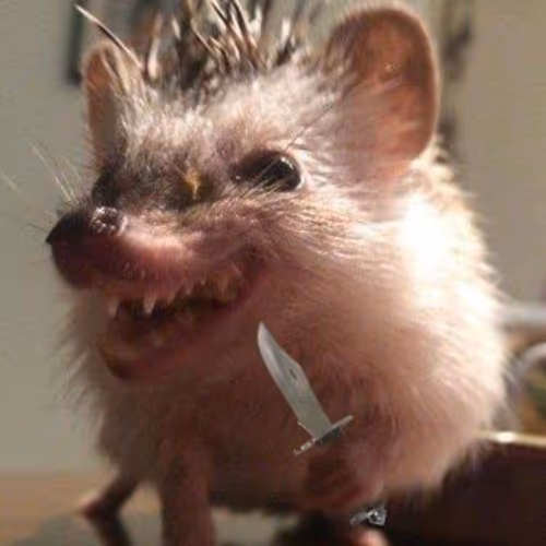 hedgehog