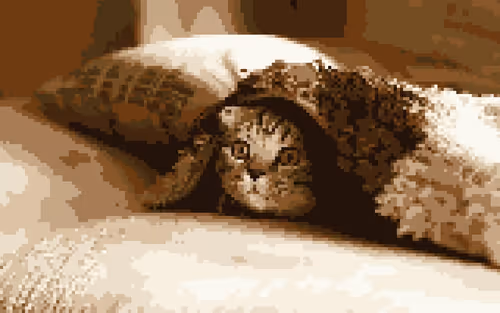 Warmth