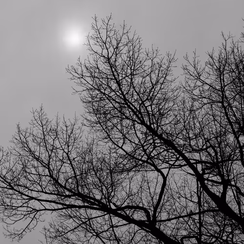 Item #35965218379738729691291467168286792303482134167127854404987491620770249965569 Media