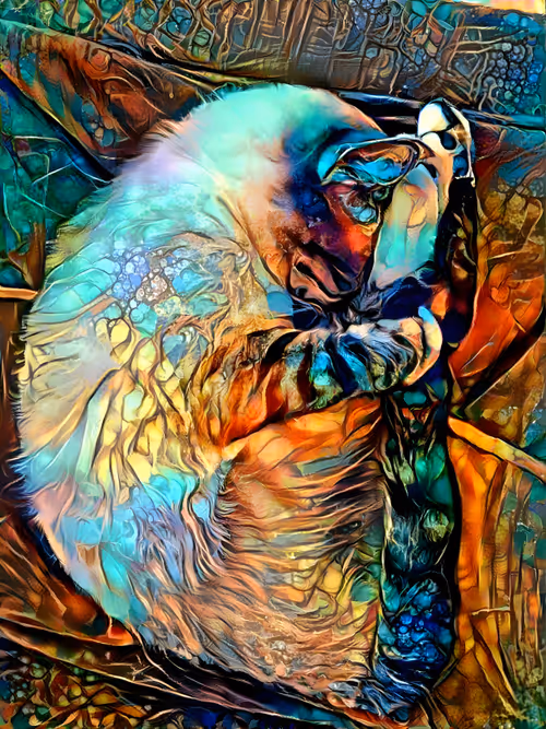 Item #77725762252764811351248131177513402831530303059740178202154048843675129085953 Media