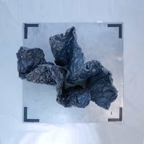 Item #95436732890979525024244817414416394684744946412133006336000343147281844797441 Media