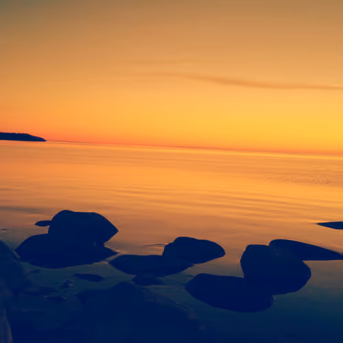 Untitled Collection #9554449