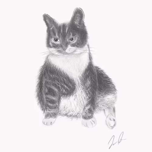 94926481352565914970378915456053953068049987722858342906322437786928825761793