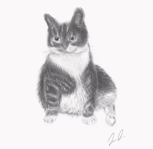 Item #94926481352565914970378915456053953068049987722858342906322437786928825761793 Media