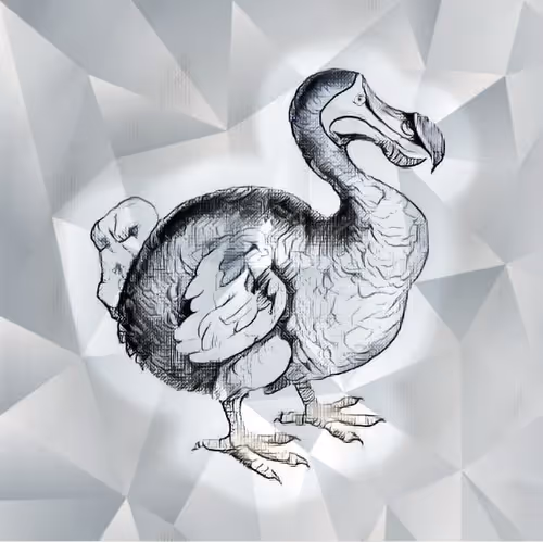 Item #17635803375648012338610213380030160191715370757553255260744606426101926854657 Media