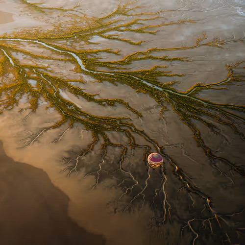 Floating Above #2