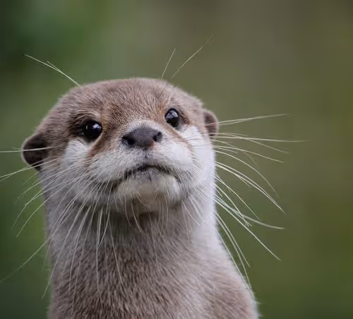 Untitled Collection #2354873465