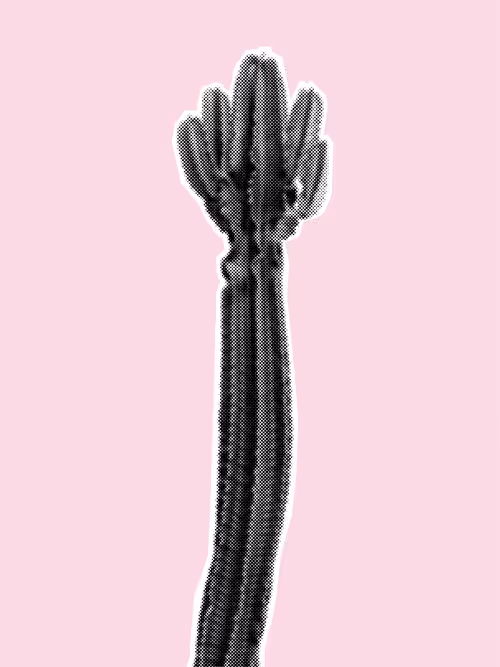 Item #25379124807980713745219244606437574046087384809022650852355167132411632812033 Media