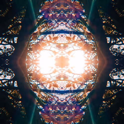 Item #83813870001028254034183636372253725916124604148332772860806868912478764400648 Media