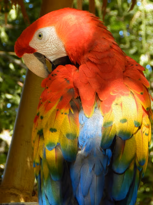 Item #95619151568614802974454947629602672965769746893472874508208249403294378622977 Media