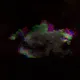 9050991396078878530804497659870993705968162446836973774563467586173449273345