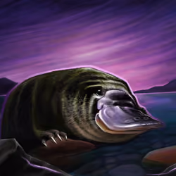 Platypus by Seven