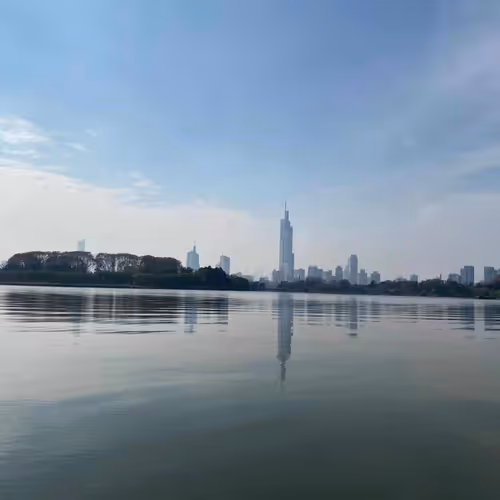 Untitled Collection #206252858