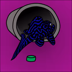 81664083123670143983968740139941474364733981378414170565535212955096716410881