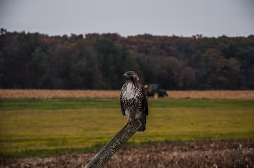 Item #53066580447893182690859255571300366451776015640198026771655436630315696652289 Media