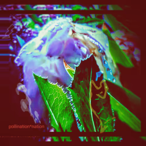 Item #48940607901015920857645731897372501433475151801314918202726248083381855191041 Media