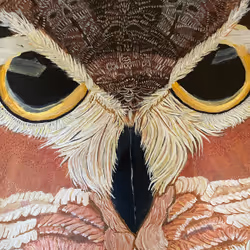 32429347255769162682189199460736802958491788542897441164058398278685516890113