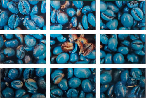 Item #39425846421802280996231740338929997167545085552399292352466571971385995821057 Media