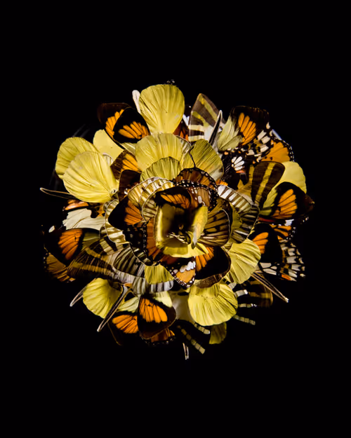 Item #79940252678170985197546940234406847408056084911246452413958937771278971437057 Media