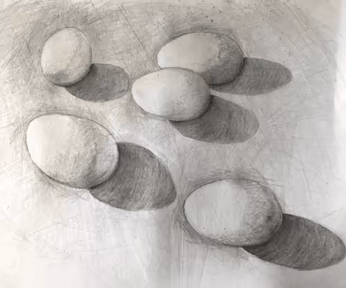 fdiddy Collection - old