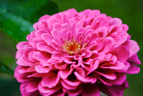 Item #40090172695085413256965535555586358742660933280315103792741764905356509577217 Media