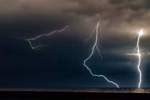 Item #76753609557618040316569819233018688954602367077882329360874187575304923381761 Media