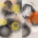 52787947895116180430069755551026908301802638458983435205699076927025034821633