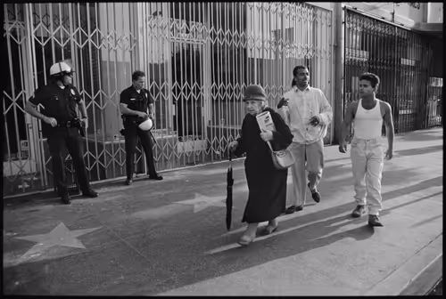 Item #92944060732368966215295016387630966585309105255455706870205160023859803455489 Media