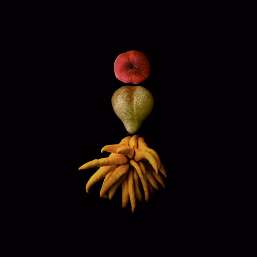 39431402477502914605941764220051722645150574249025599482833866865707094900737