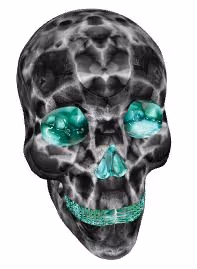 Tasty Skull #001