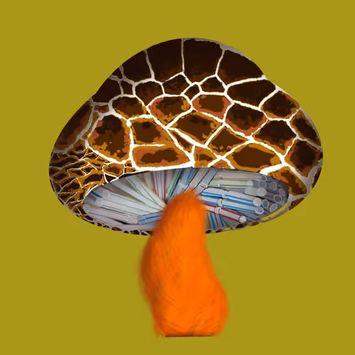 Item #46034849265832991985054005845495595569977159826723230396281255991177050587137 Media