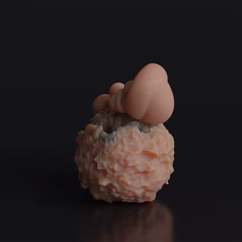 87858548873057691610145785827924316116903784724900626045837508994810123386885