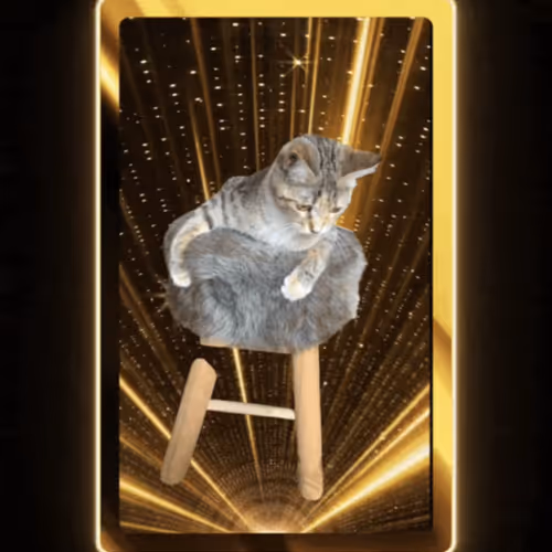 Untitled Collection #117991437