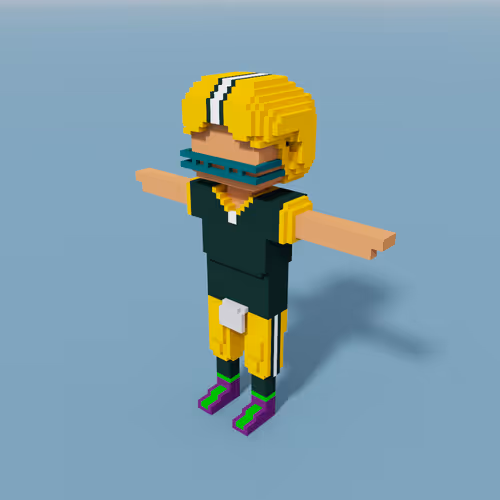 Sportvoxels