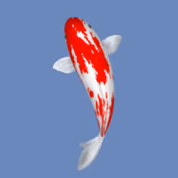 85890538515849146191794191908996501016024634704301377485849139589942739992577