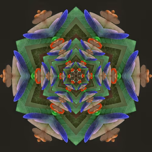 Item #105598432229104396590244618898353407233161156696249513419484439855816486420481 Media