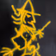 12378229485659385764293064132721103225037071500766839644259700702636073287685