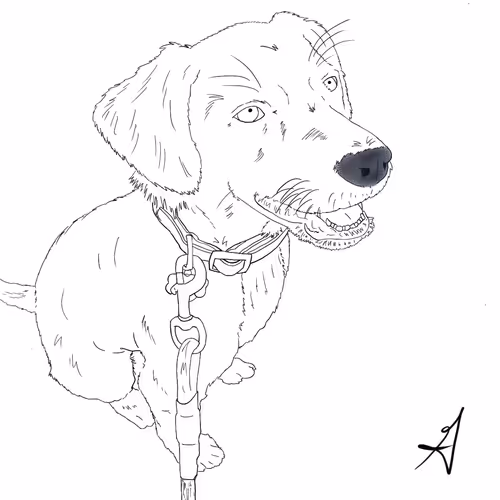 Dog Dazed