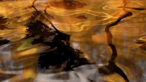 Item #36485824513700346925635491140101516969102708701637270493589643405015151280129 Media