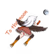 Chibi Raptoreum