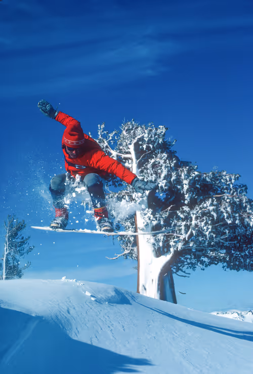 Item #40259216463408254052769072741446962859476746949004167296355483930640724787210 Media