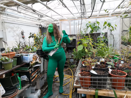 Item #87848933421201936730913511109796940139970228758235385019634243325747148095489 Media