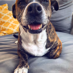 81502579898277150353033734927483914682173799916853565085596411632358644514817