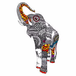 elephant